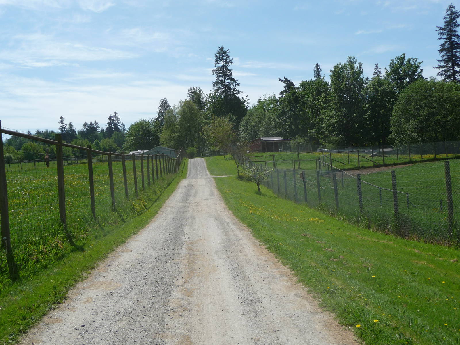 Pathway Between Multi-Acre Enclosures