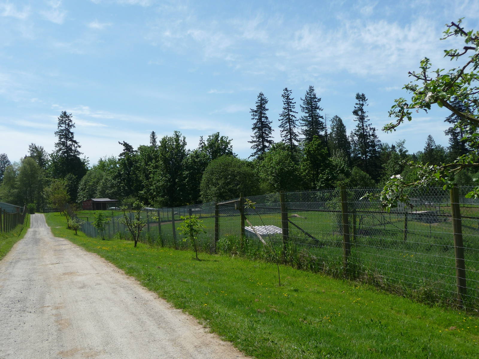 Pathway Between Multi-Acre Enclosures