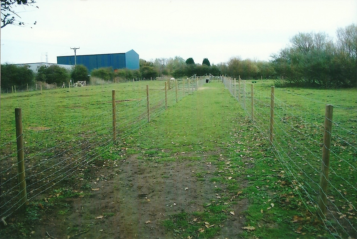 Pathway between paddocks, 1st November 2013