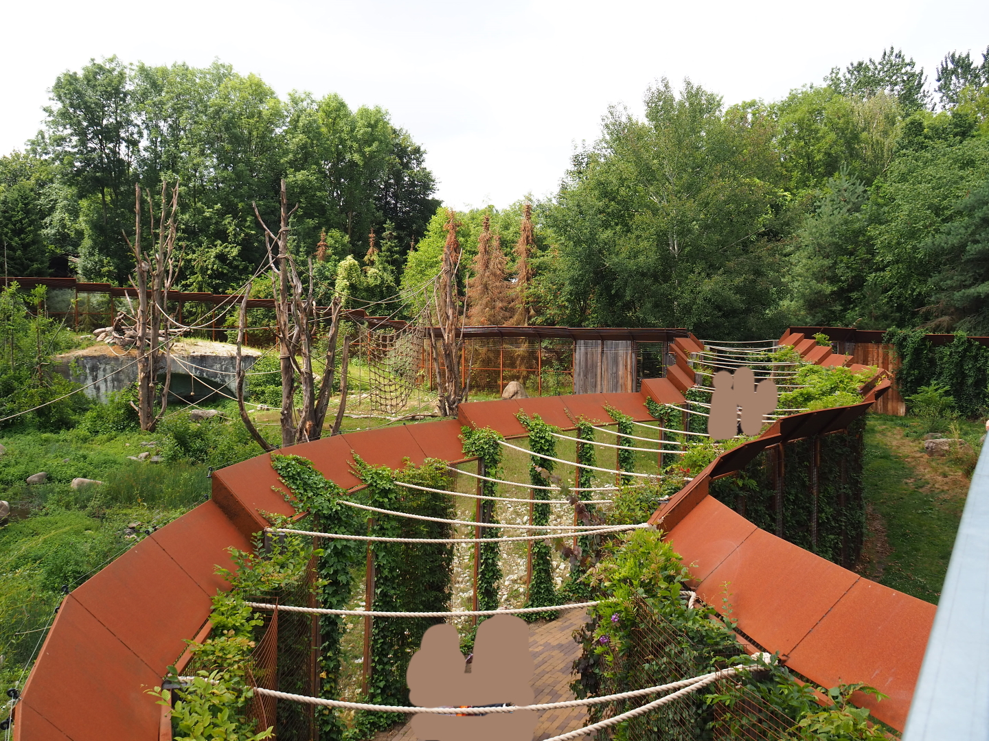 Pathway between the Barbary macaque and Eurasian lynx exhibits,  2019-07-21