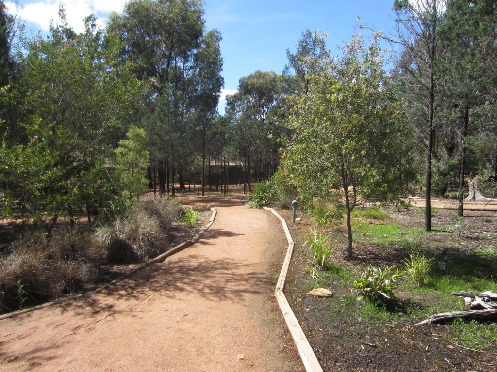 Pathway between the lodges