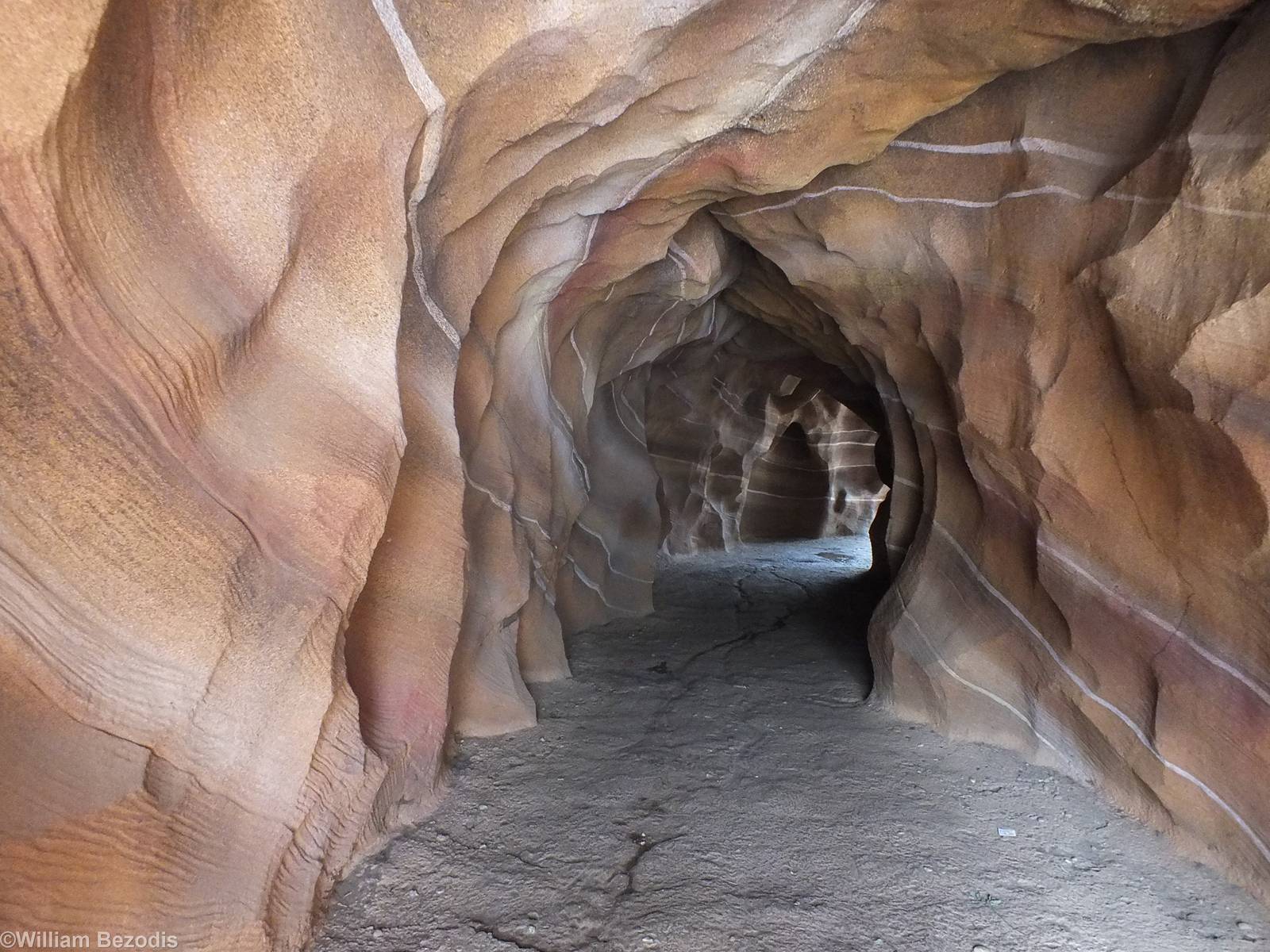 Pathway Exiting Gondwanaland