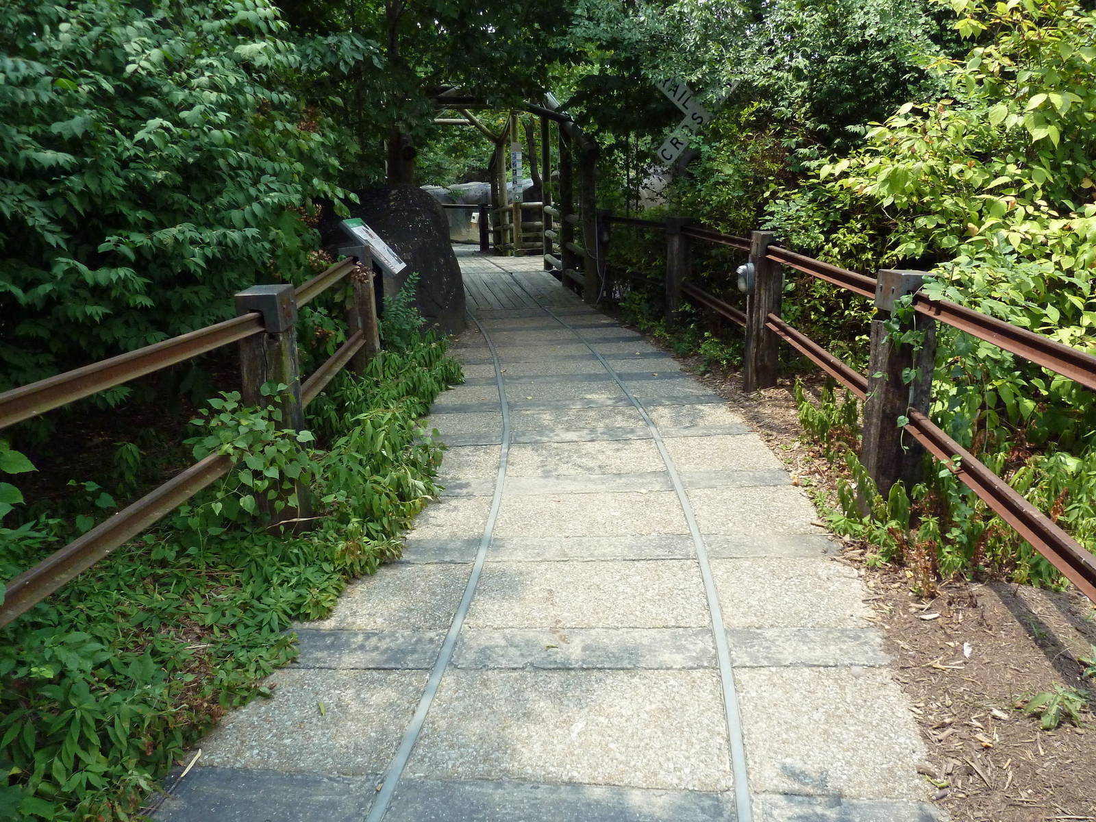 Pathway - Imitation Railroad Tracks