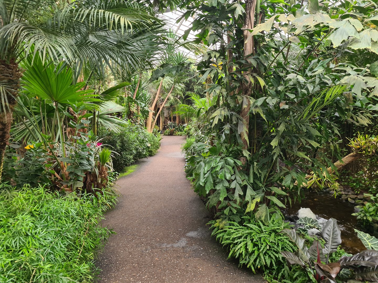 Pathway in "Amazon" hall