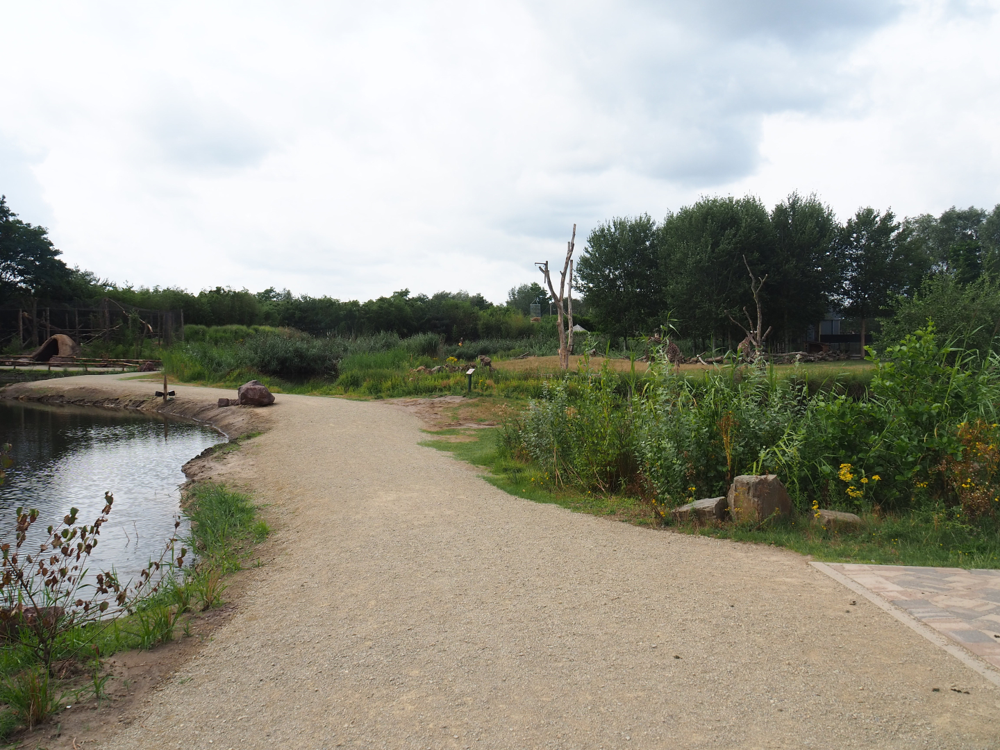 Pathway in between reticulated giraffe exhibit and new lemur island, 2019-08-11
