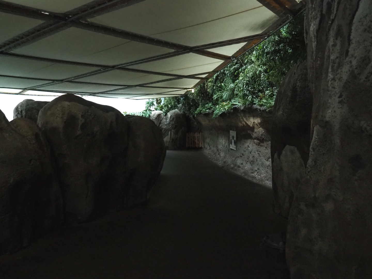 Pathway in Burgers' Ocean (Sep 16th, 2018)