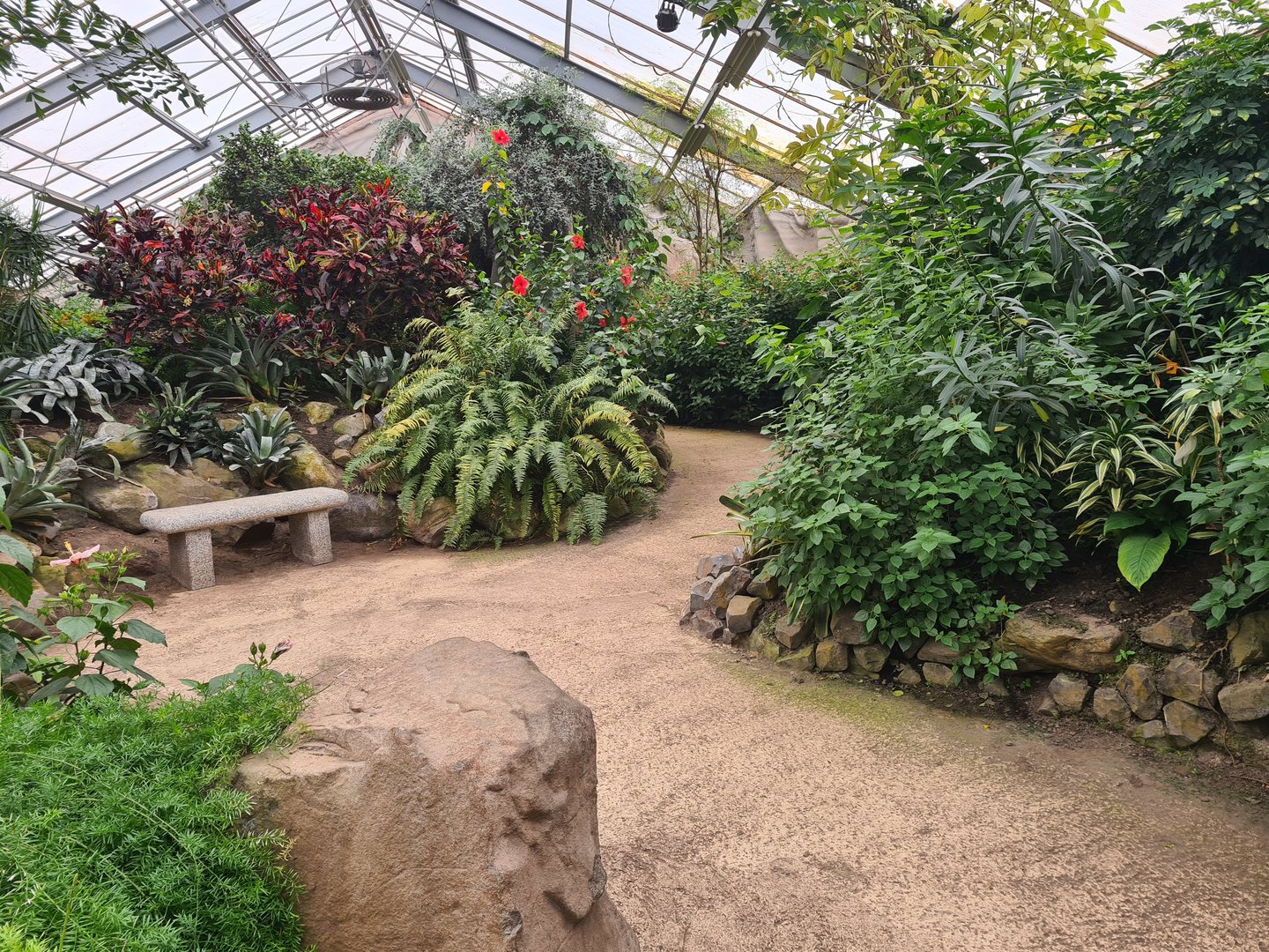 Pathway in Butterfly valley