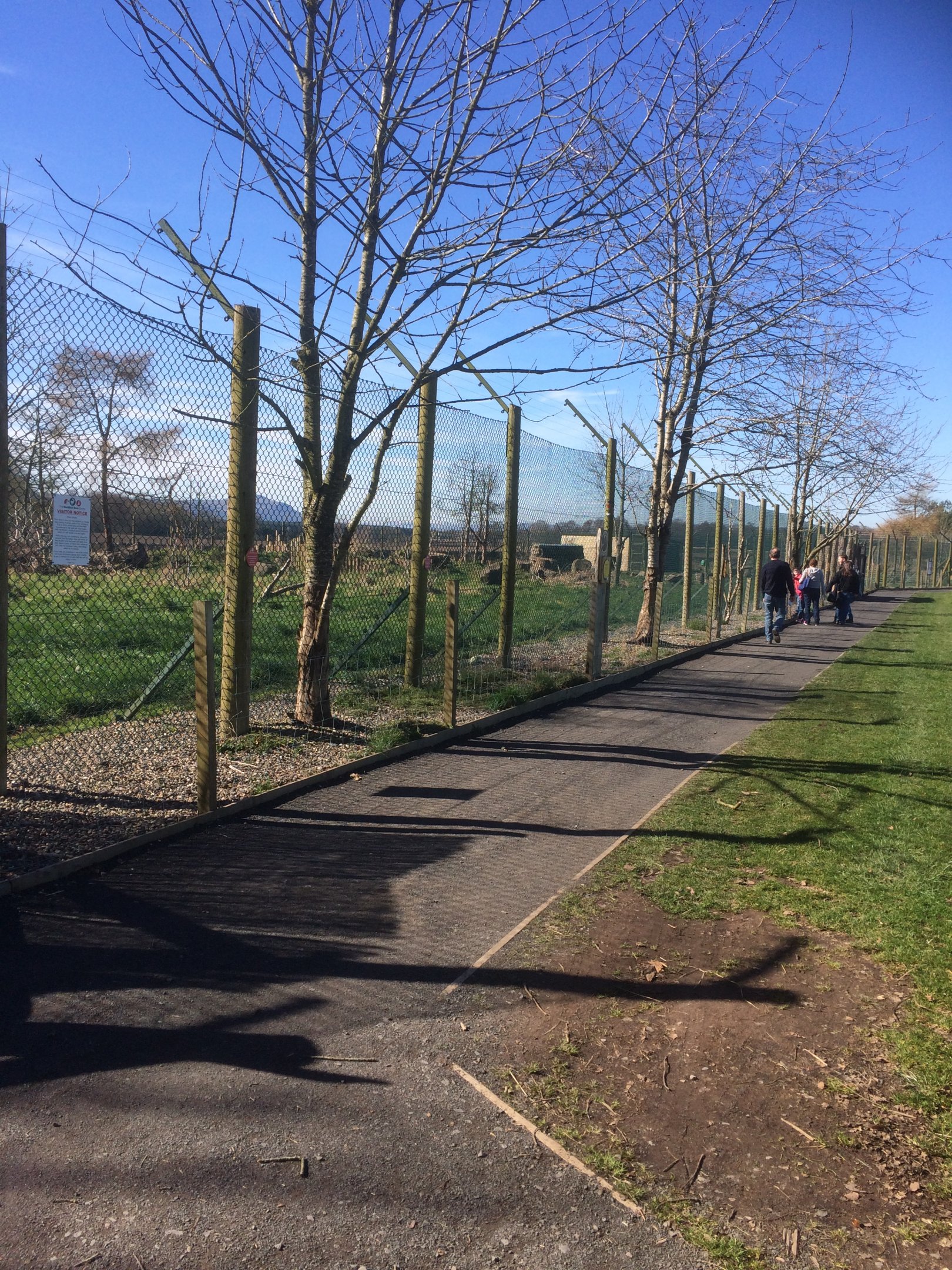 Pathway in front of brown bear enclosure