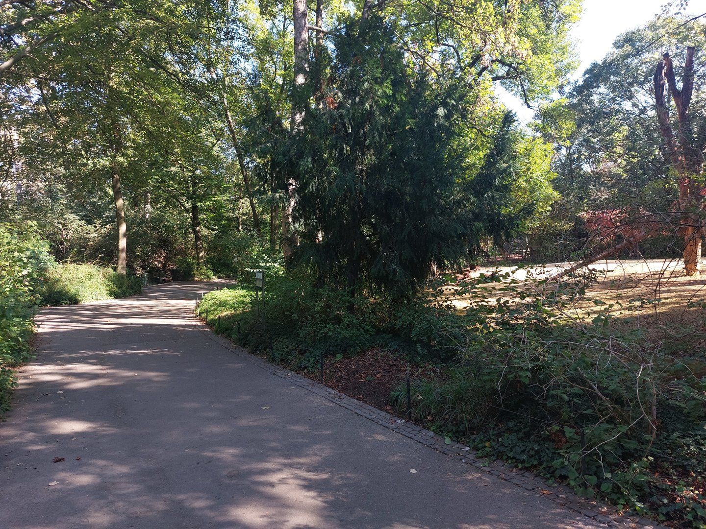 Pathway in lower part of zoo