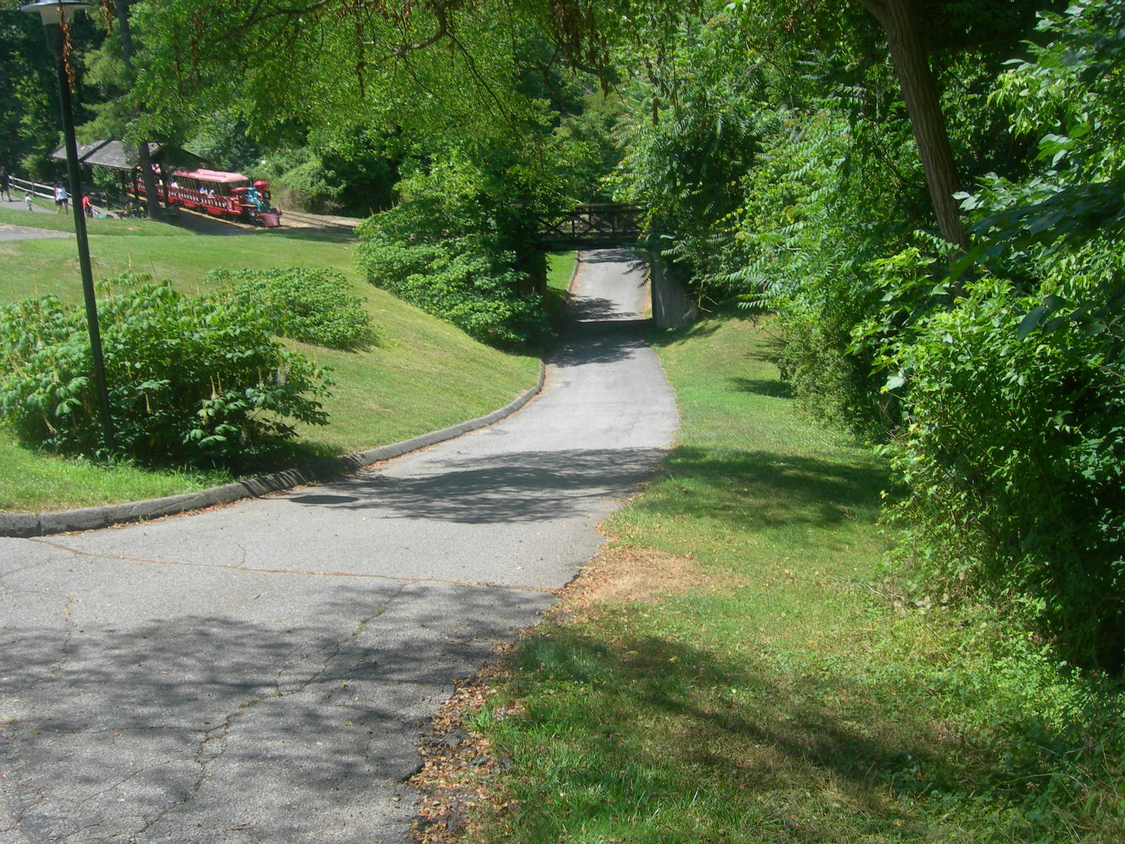 Pathway in the middle of the zoo. left side is train ride through the zoo.