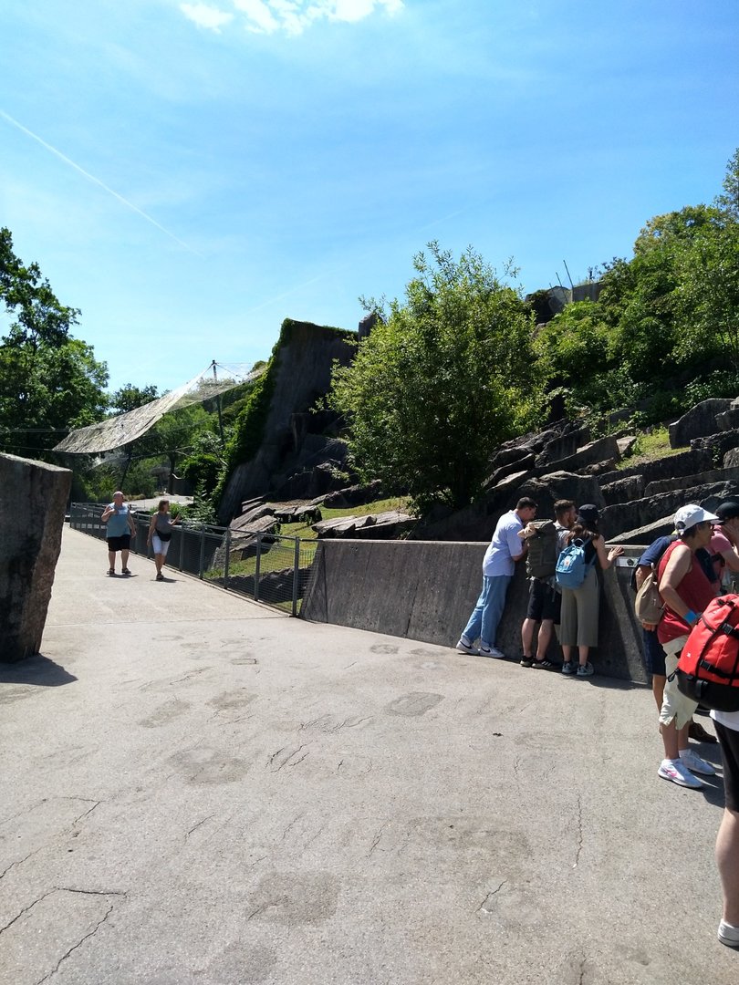 Pathway in the mountain area