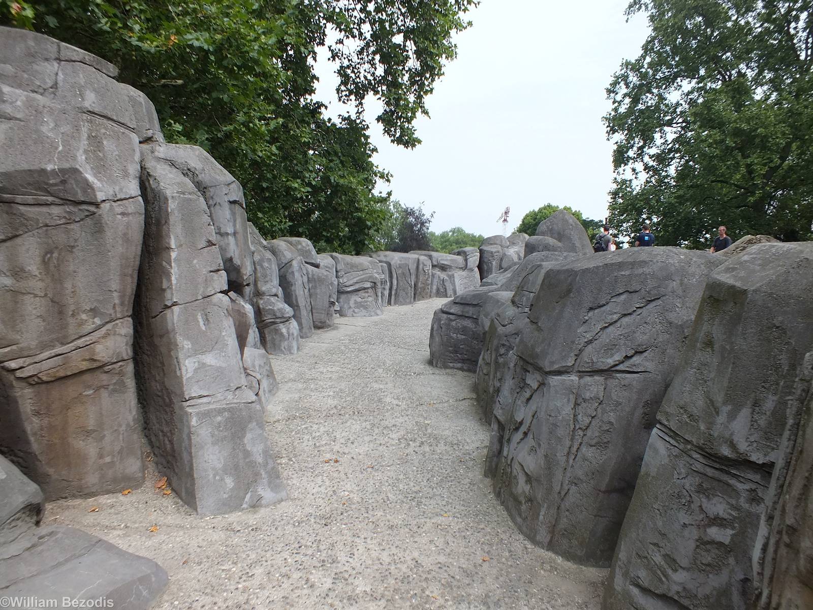 Pathway in the Raised, Mountain Themed Area