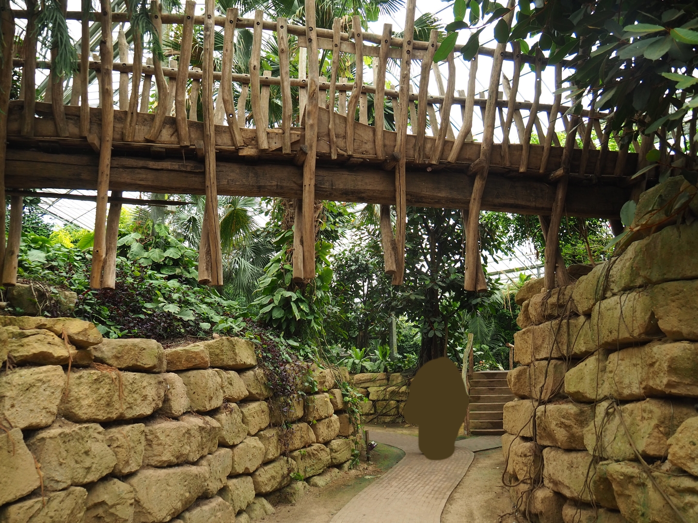 Pathway in the Tropical hall (Aug 28th, 2018)