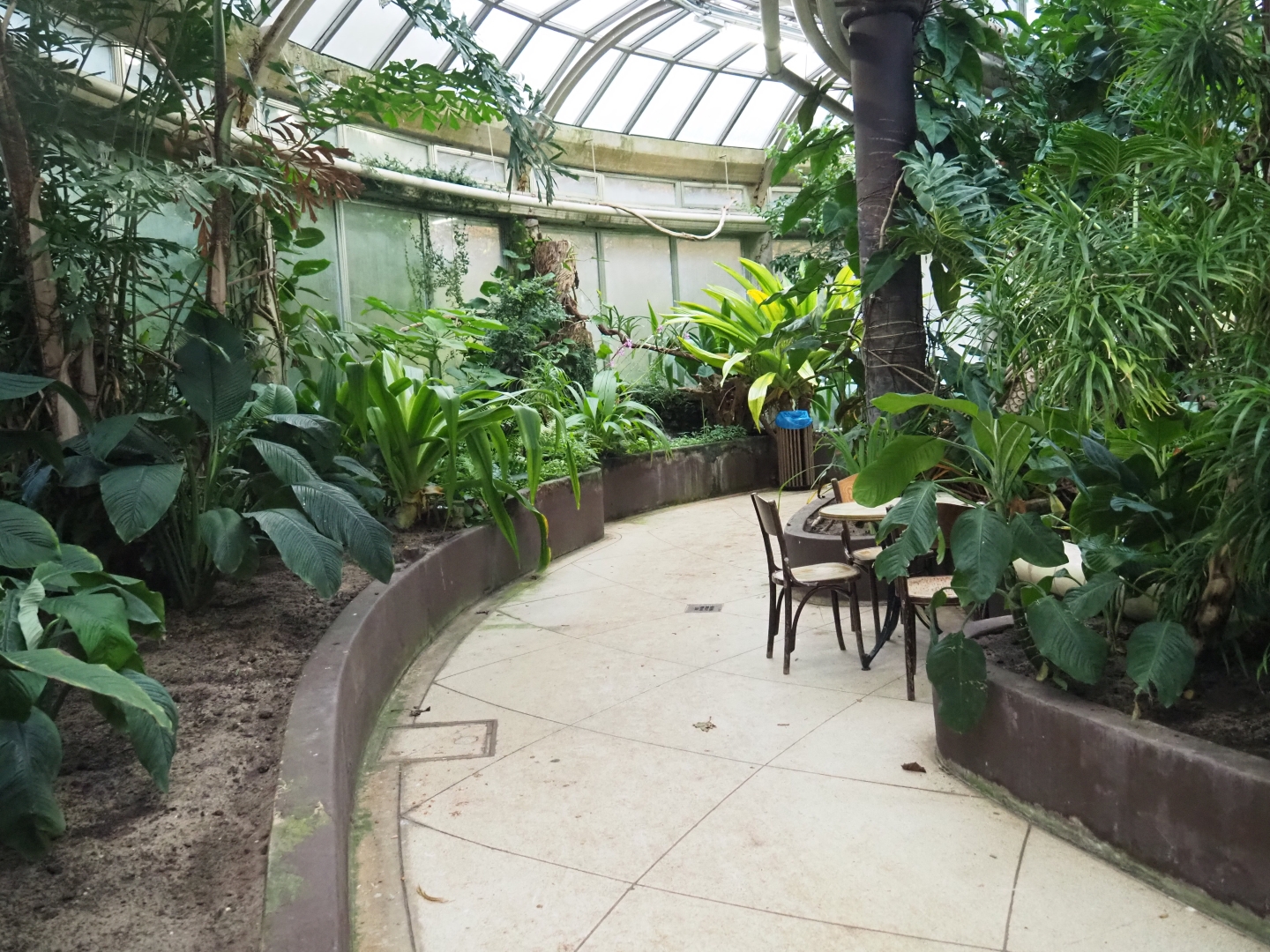 Pathway in the Victoria greenhouse in the tropical wing of the Rivierahal (Nov 10th, 2018)
