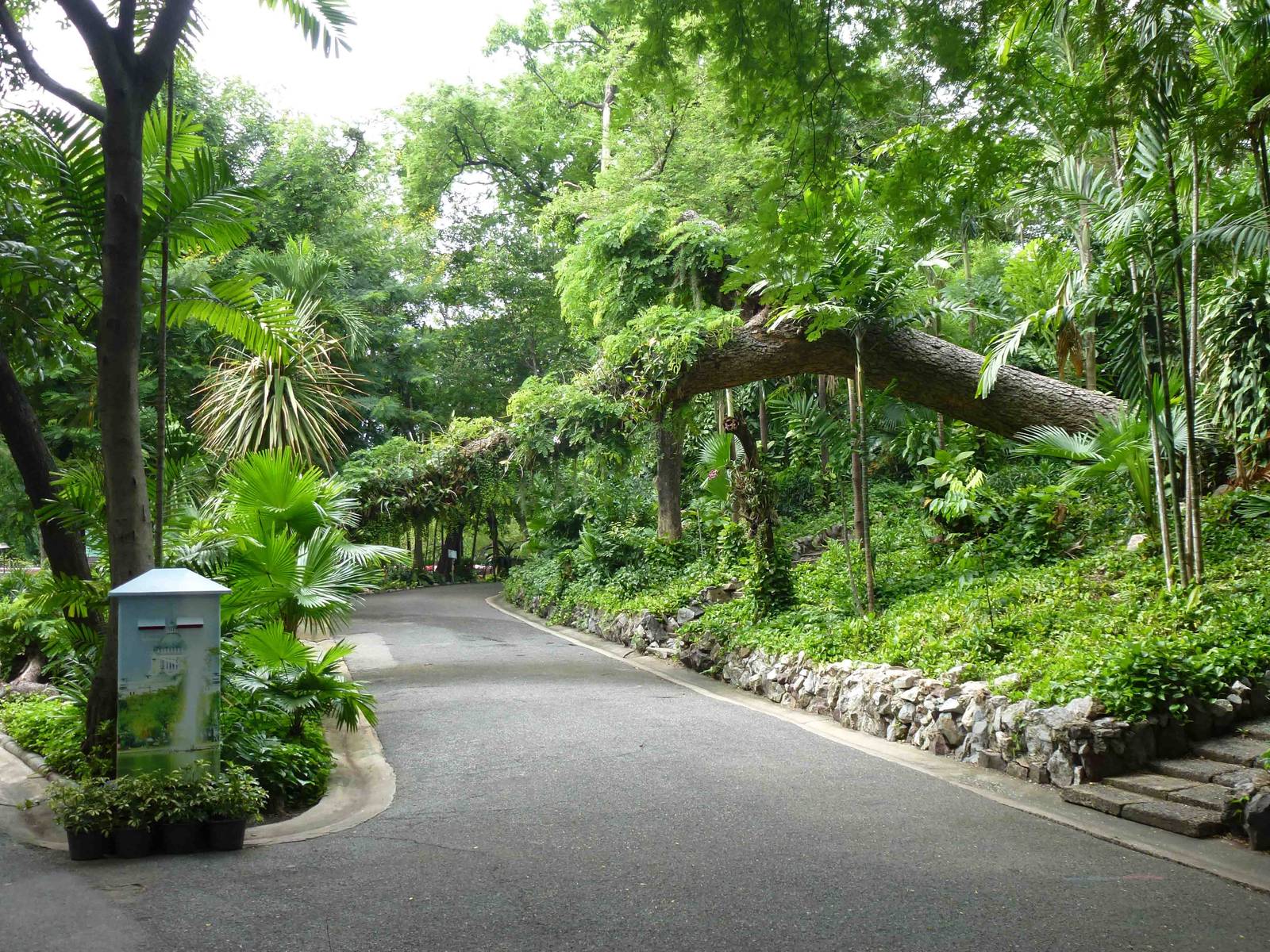 Pathway in the zoo, July 2013.