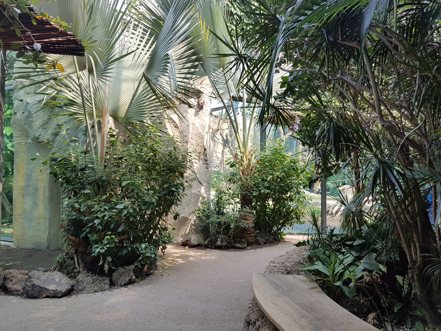 Pathway, Jungle Pavilion