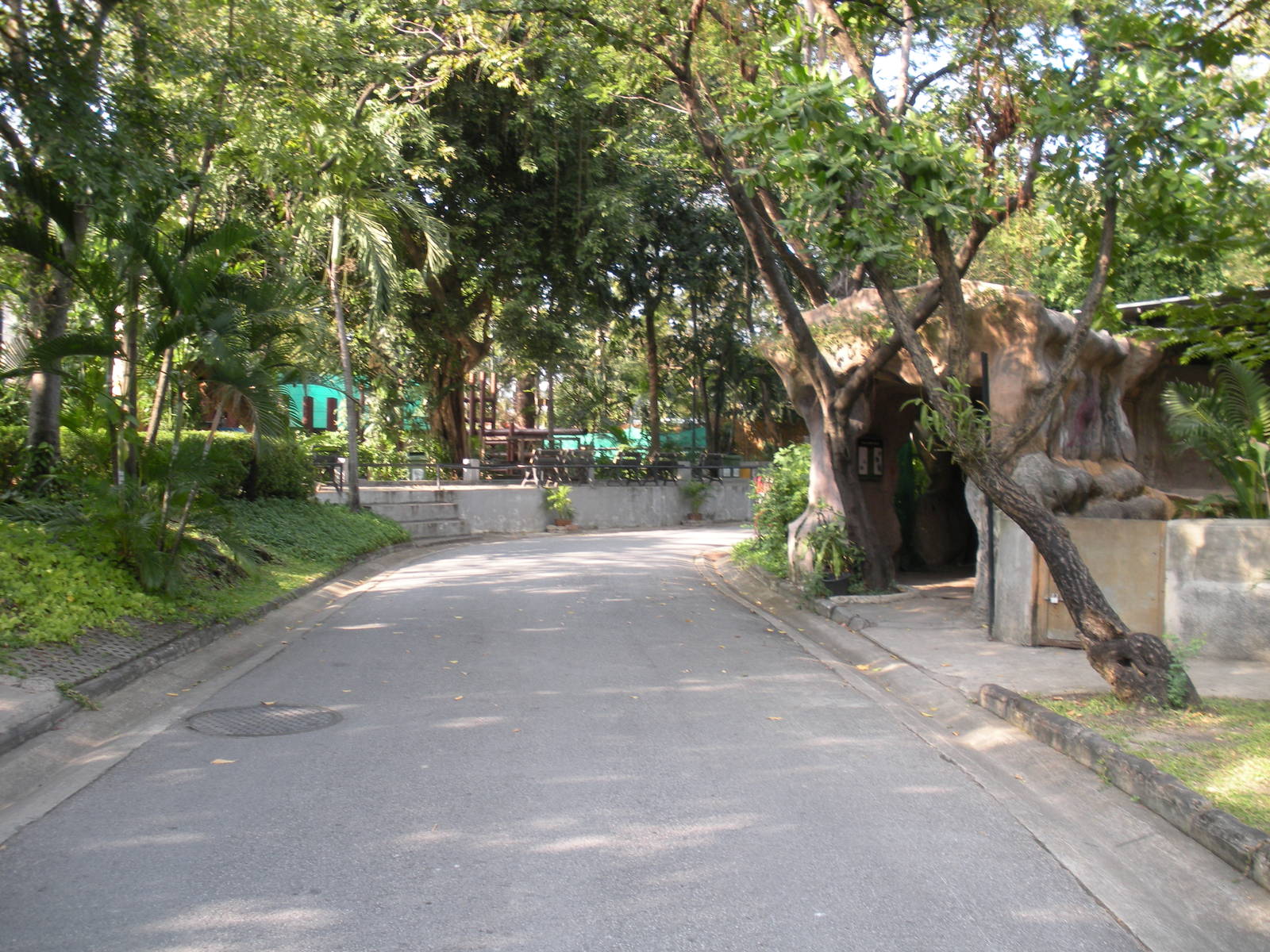 Pathway near Elephant House