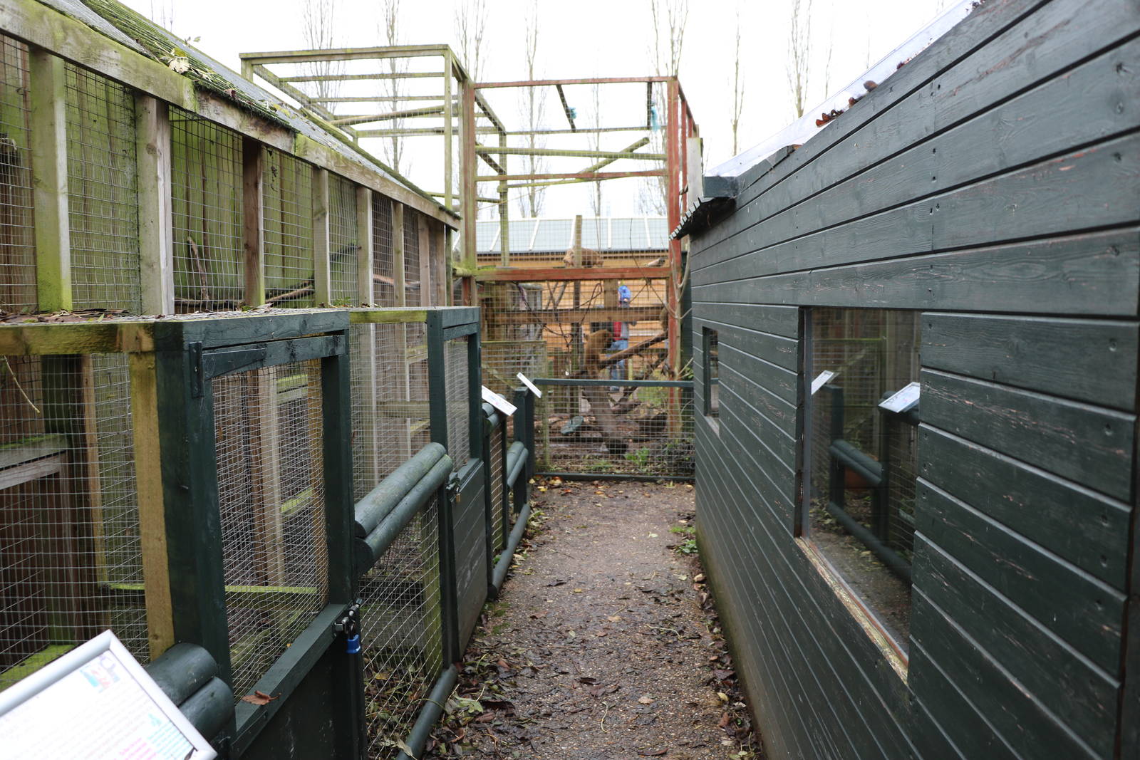 Pathway, November 2015