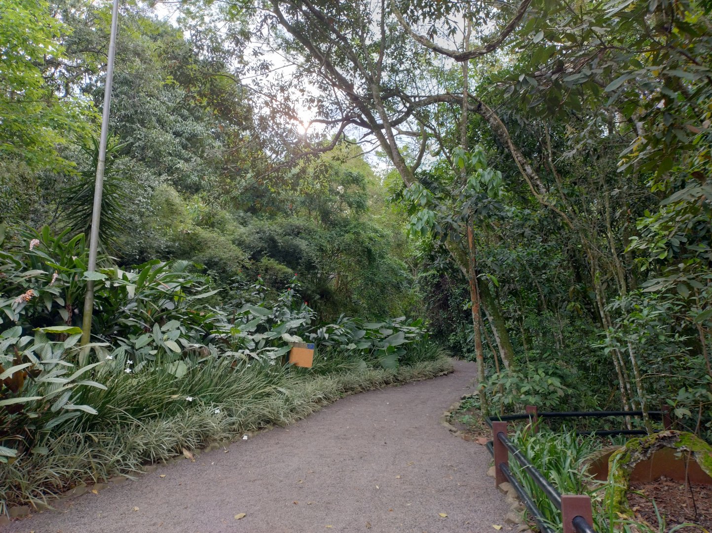 Pathway - RBBV (ZRRL)