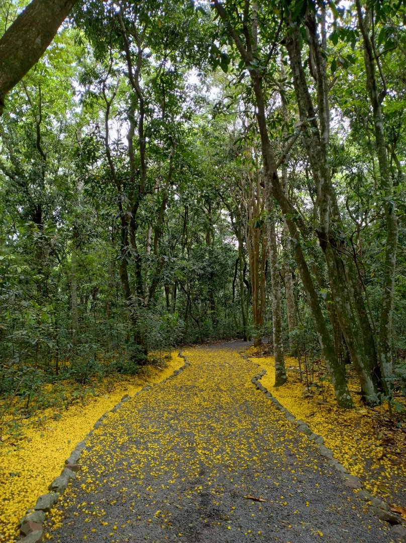 Pathway - RBBV (ZRRL)