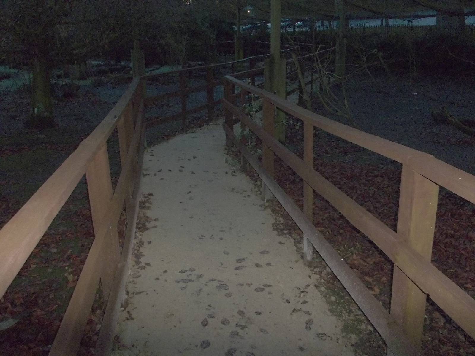 Pathway renewal in walk-through aviary completed, 13th December 2014