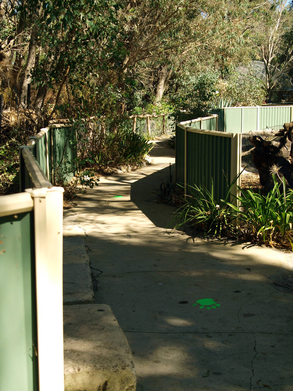 Pathway through enclosures