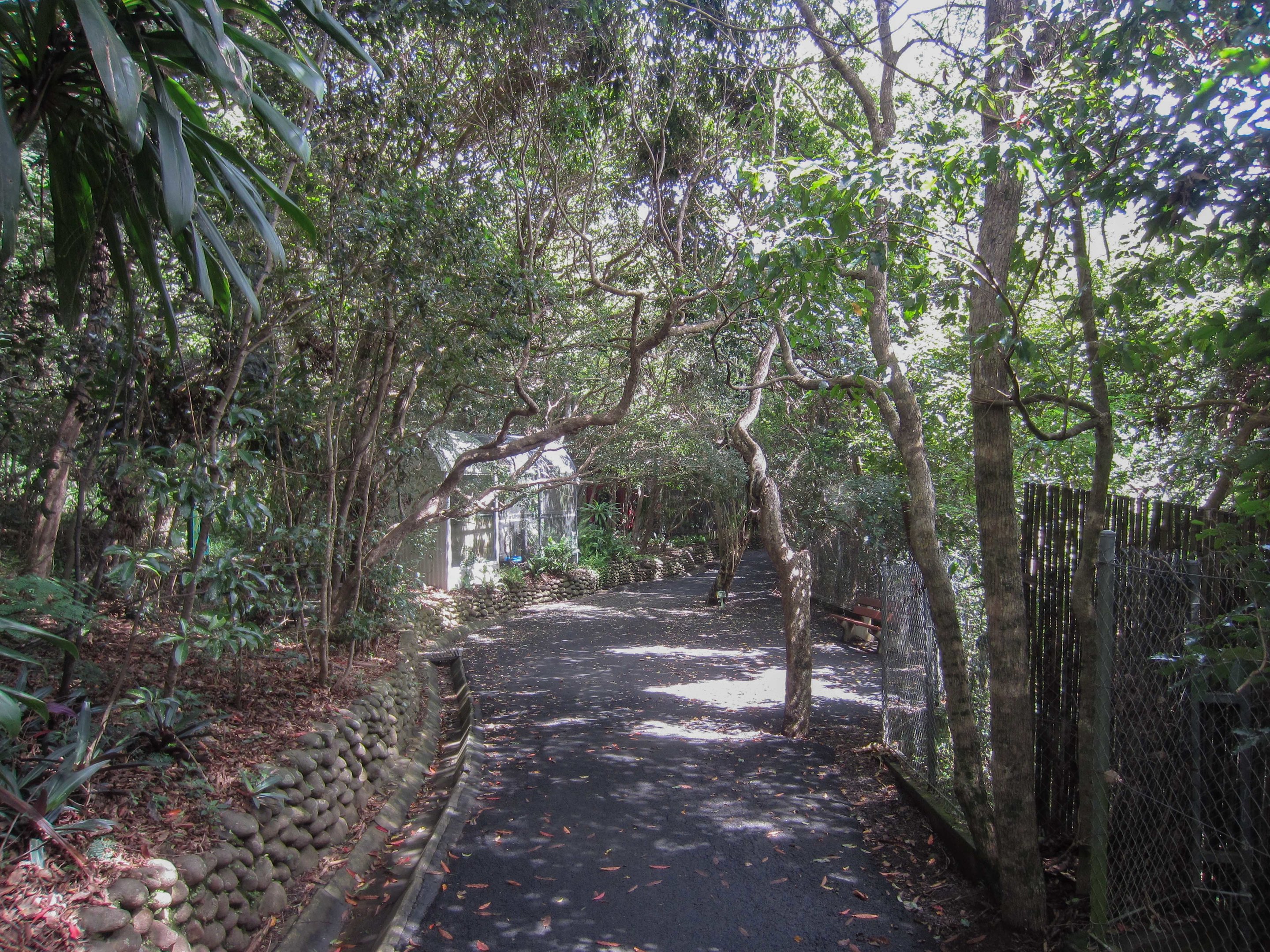Pathway through the Valley of the Endemics