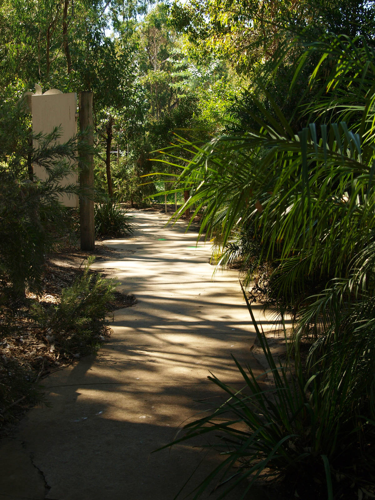 Pathway through zoo