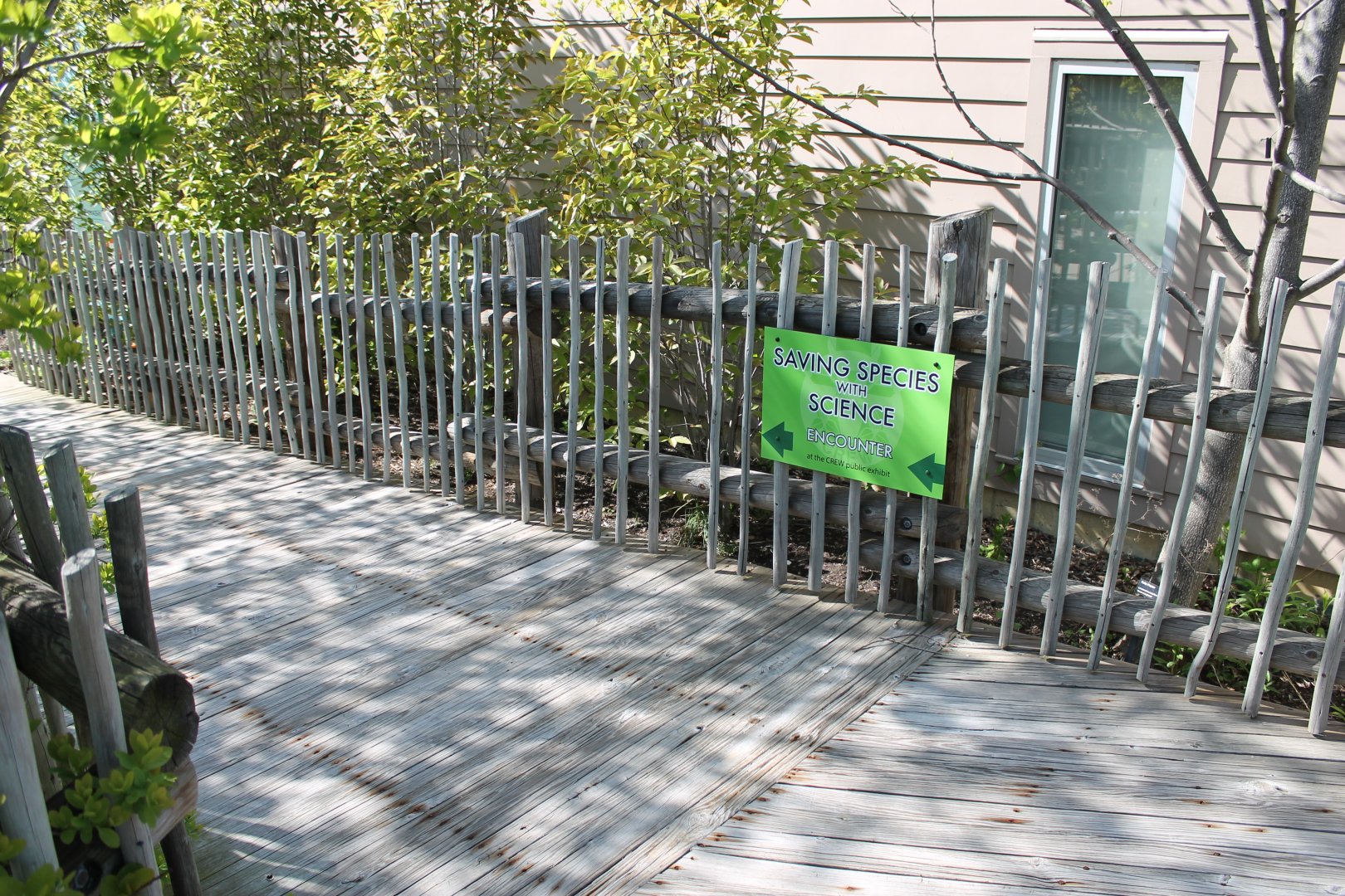 Pathway to CREW, Hospital, & Wellness Plaza