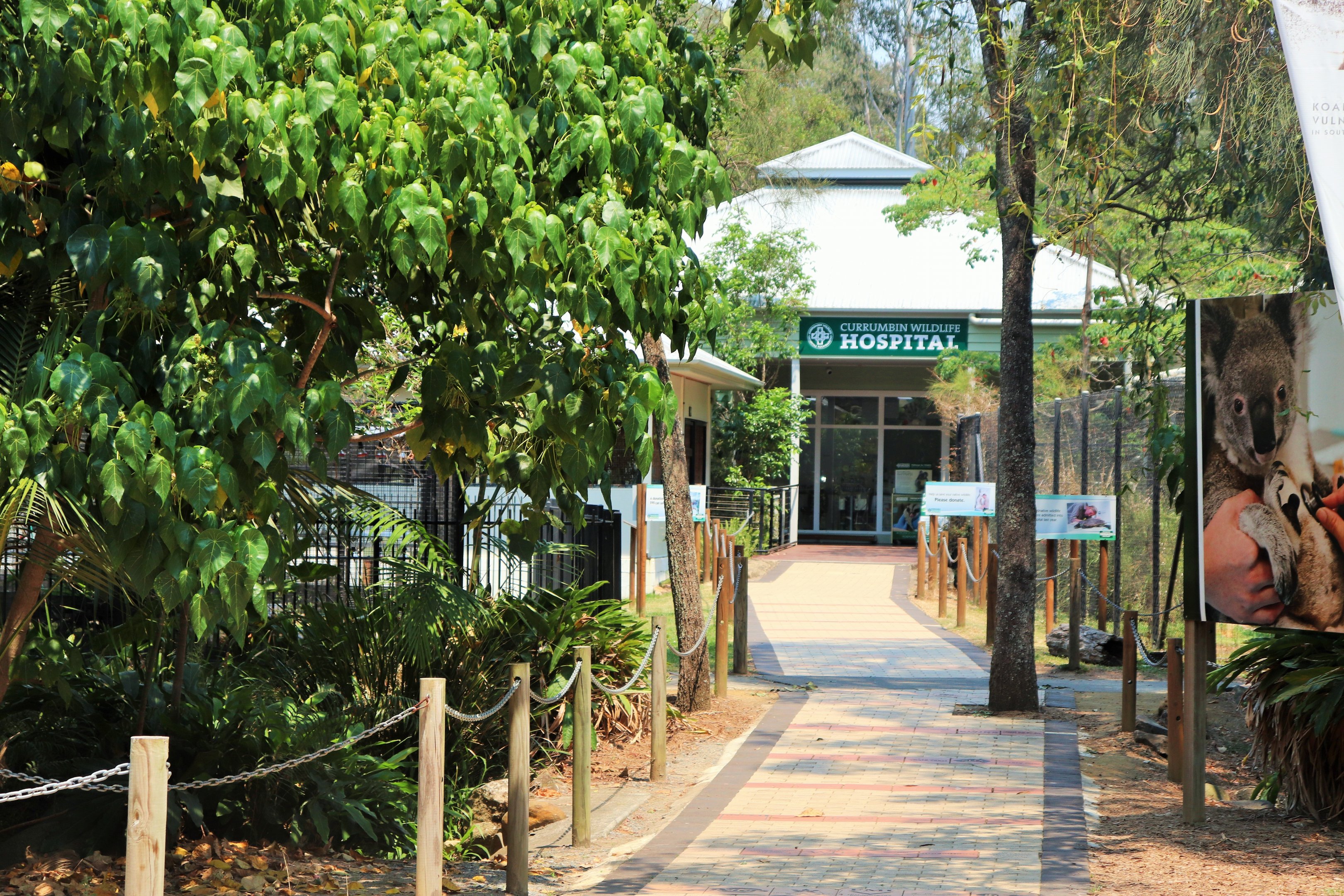 Pathway to Currumbin Wildlife Hospital
