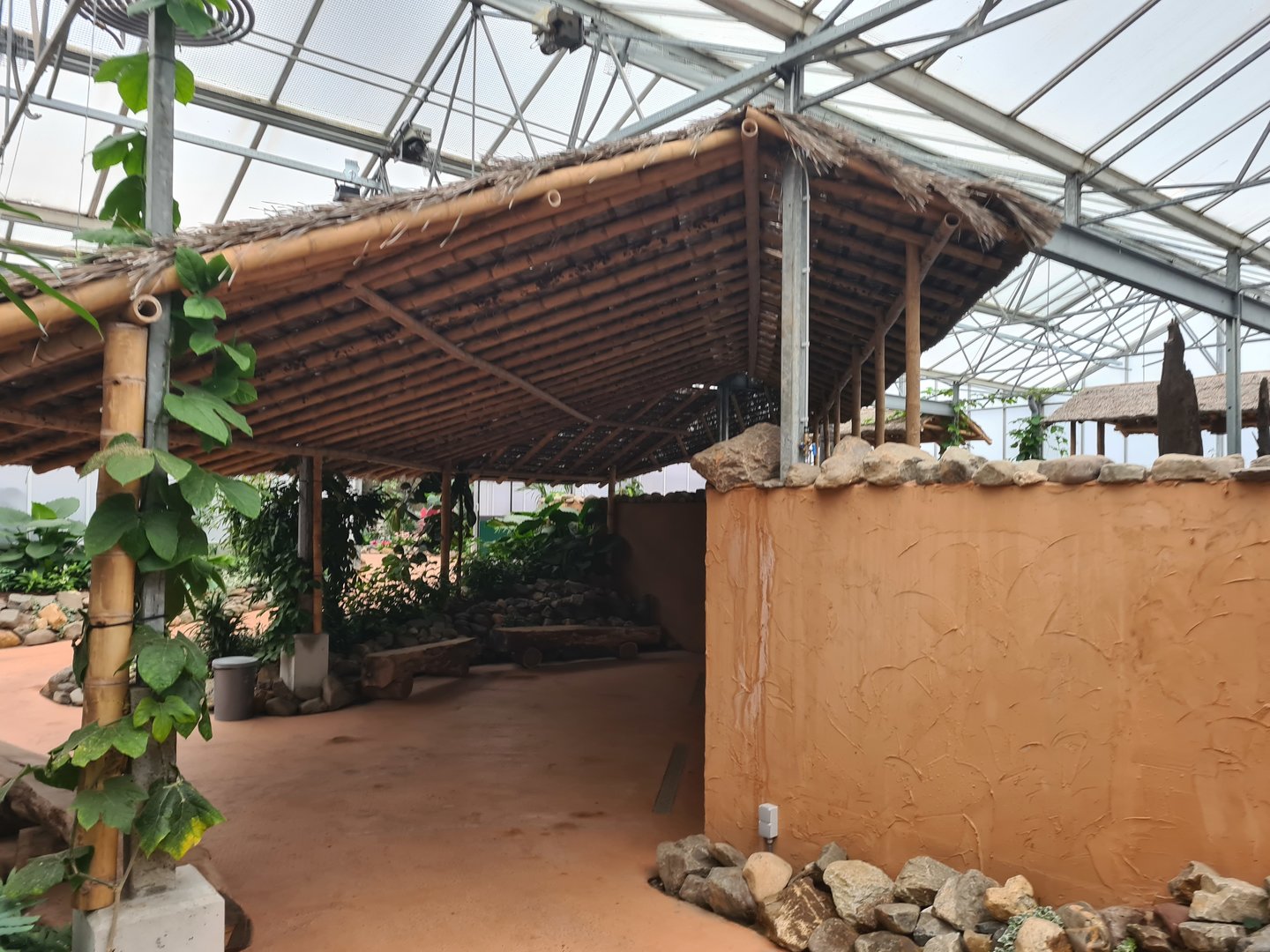 Pathway to main viewing window in Pankong river