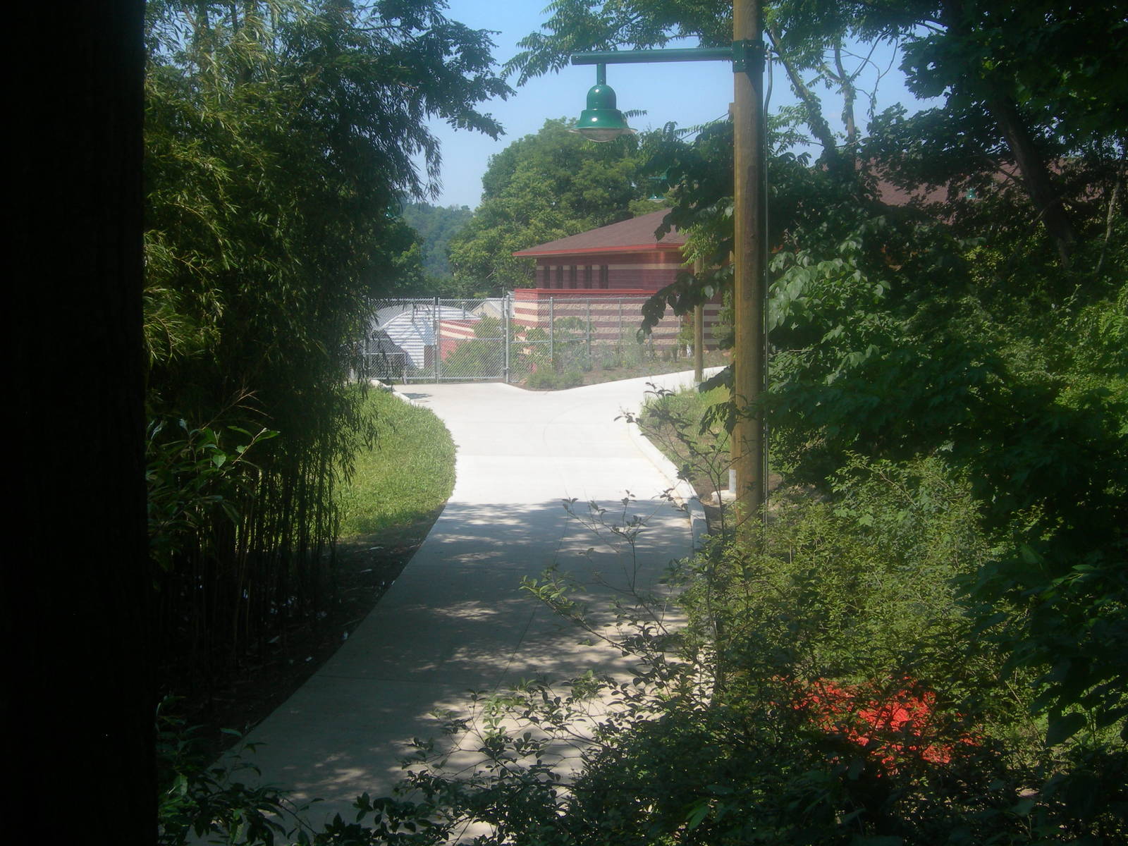 pathway to new animal hospital