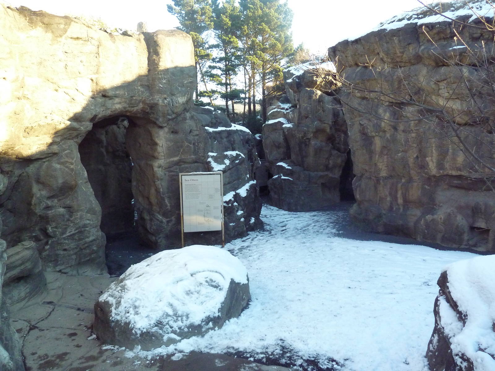 Pathway To Outdoor Exhibits