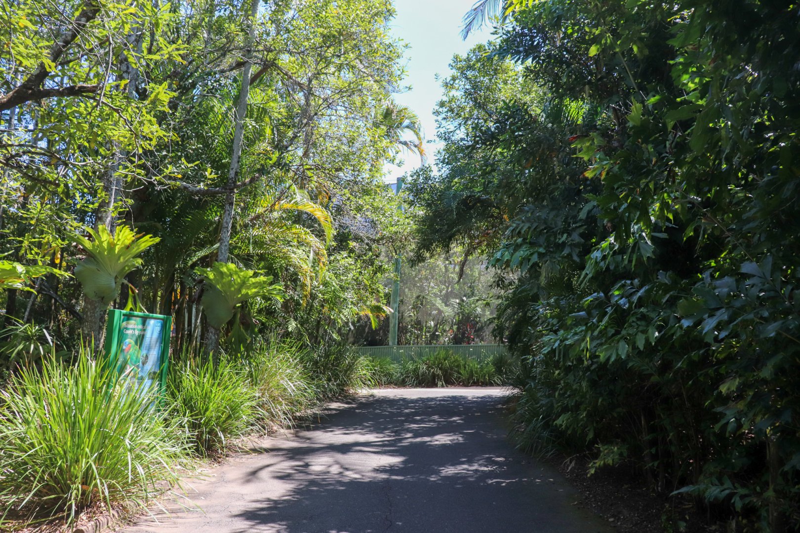 Pathway to Rainforest Aviary