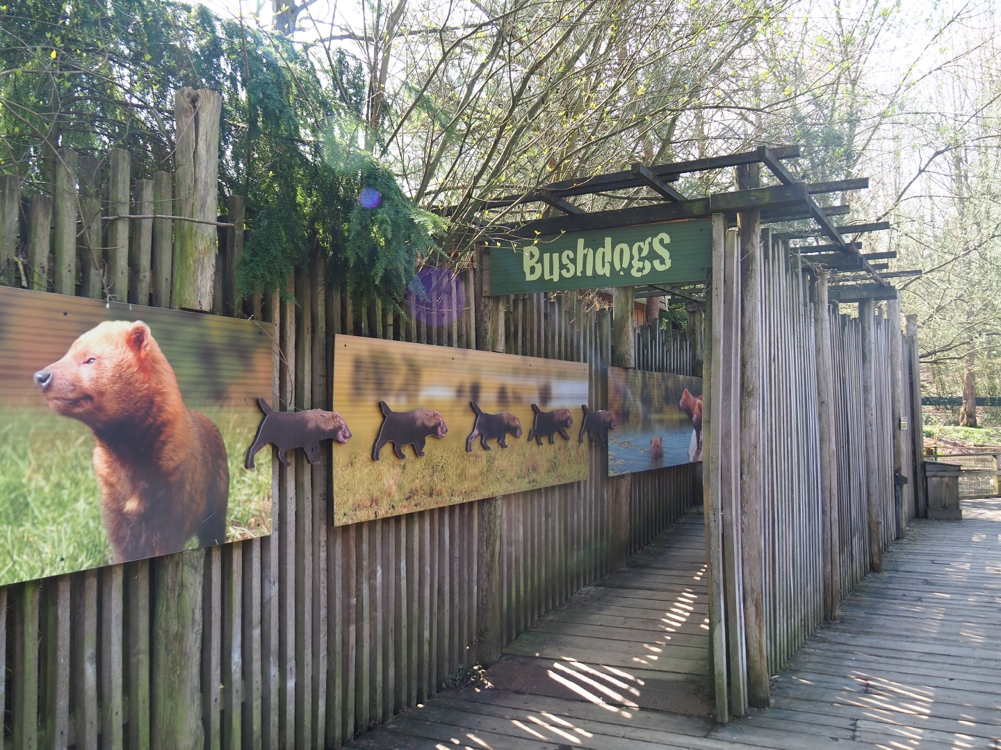 Pathway to the bush dog house, 2019-03-30