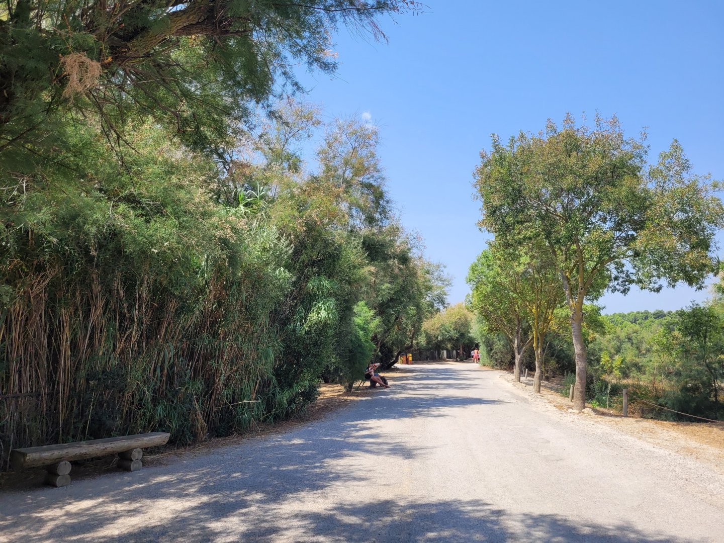 Pathway to the giraffes -Réserve Africaine de Sigean (2022)