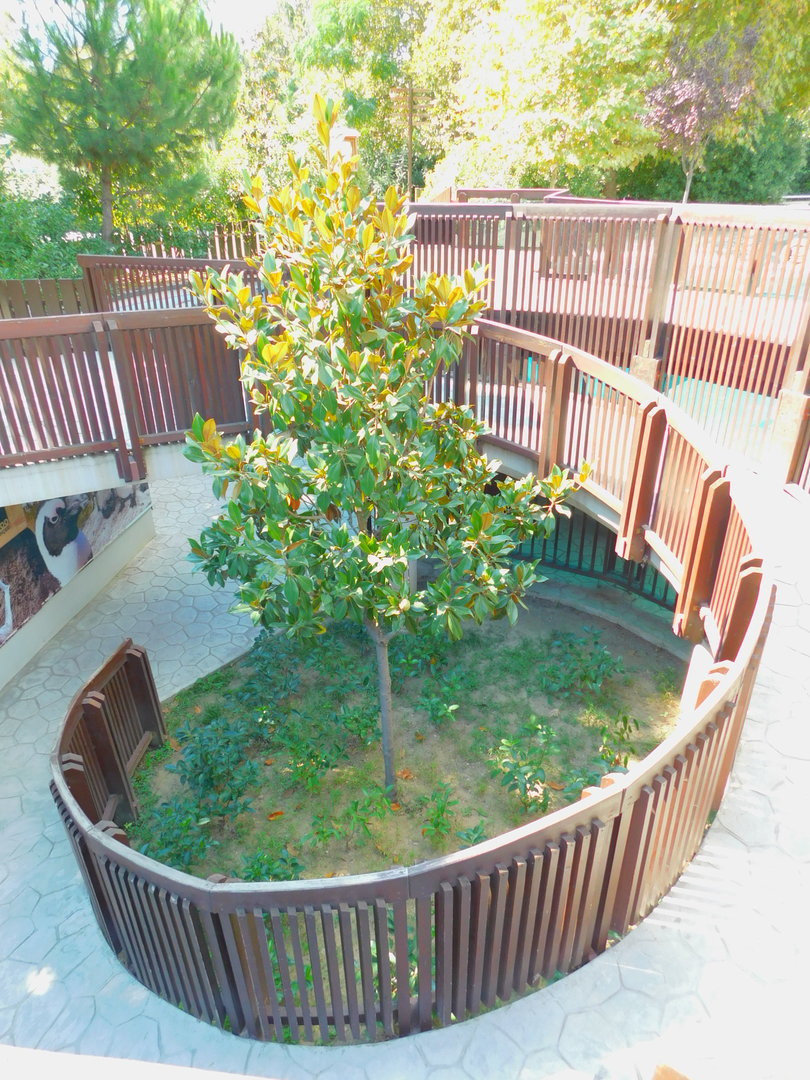Pathway to the Underwater Viewing Area