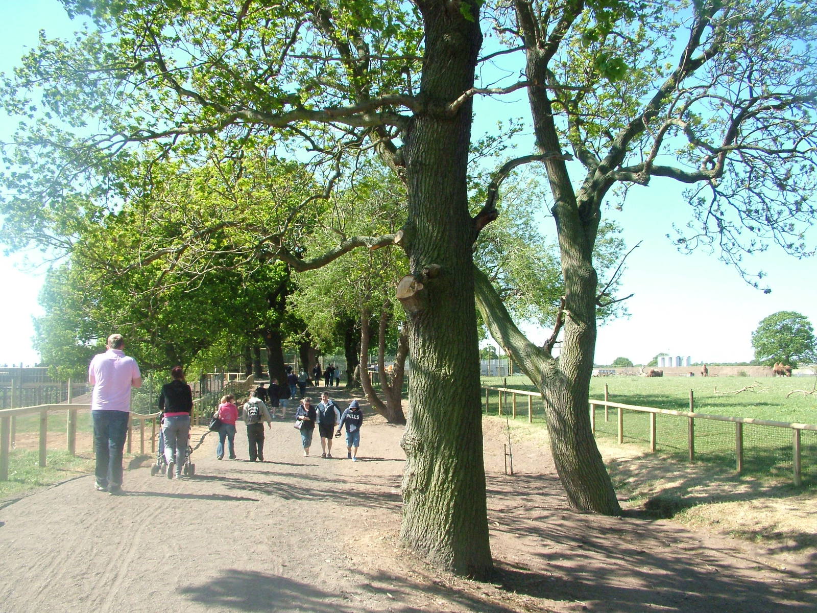 Pathway to Tigers at Yorkshire WP 02/05/11