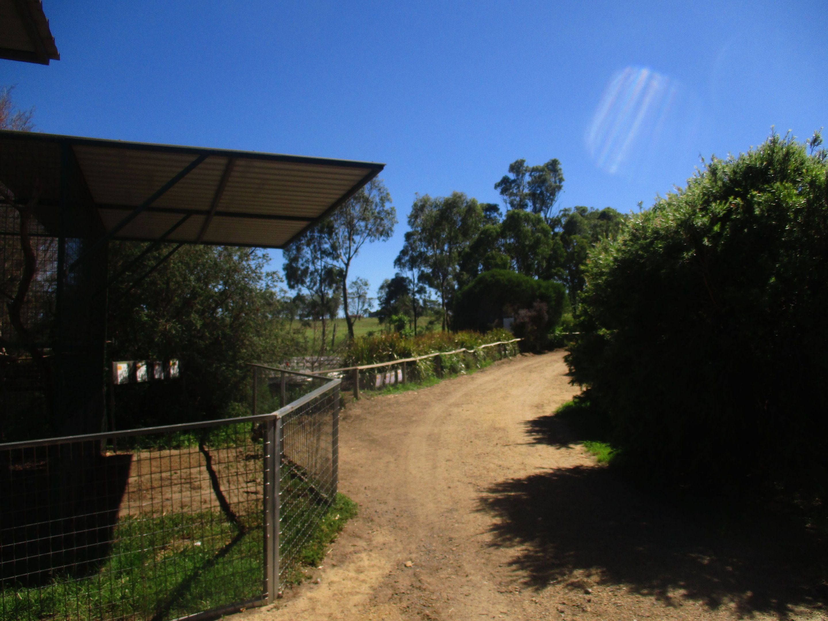 Pathway to Waterbirds