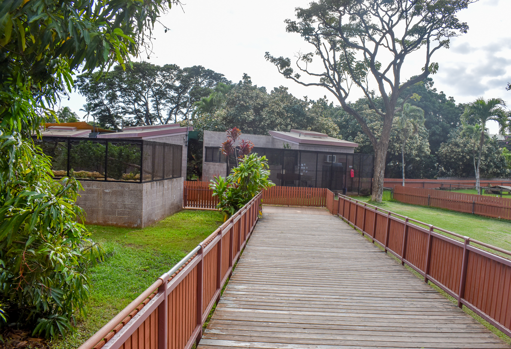 pathway towards ectotherm complex