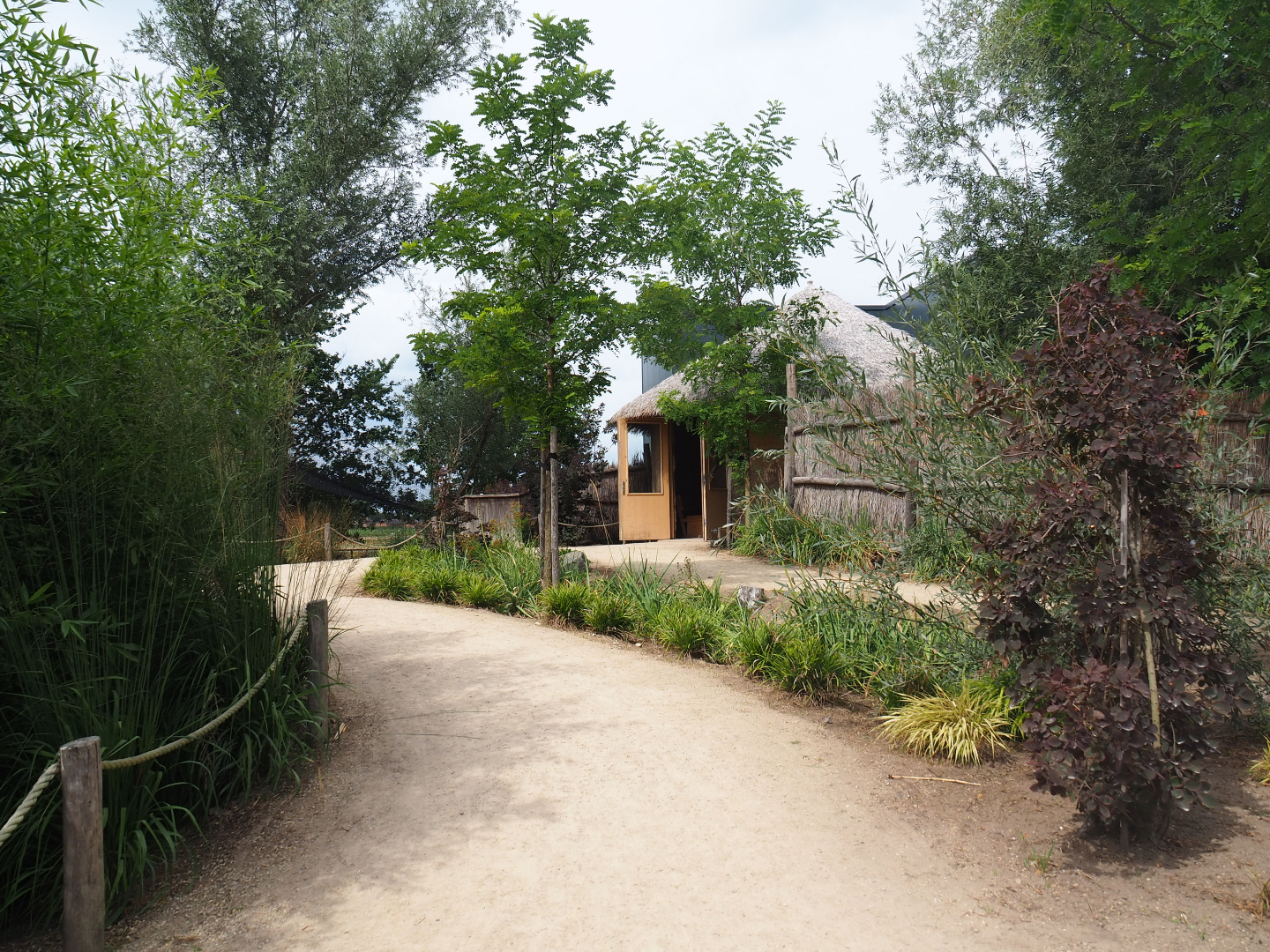 Pathway towards giraffe and guenon indoor housing and mixed aviary, 2019-08-11