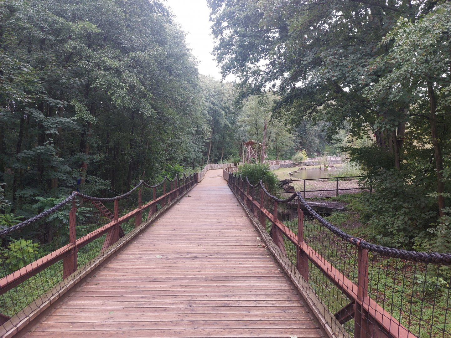 Pathway towards hippo exhibit