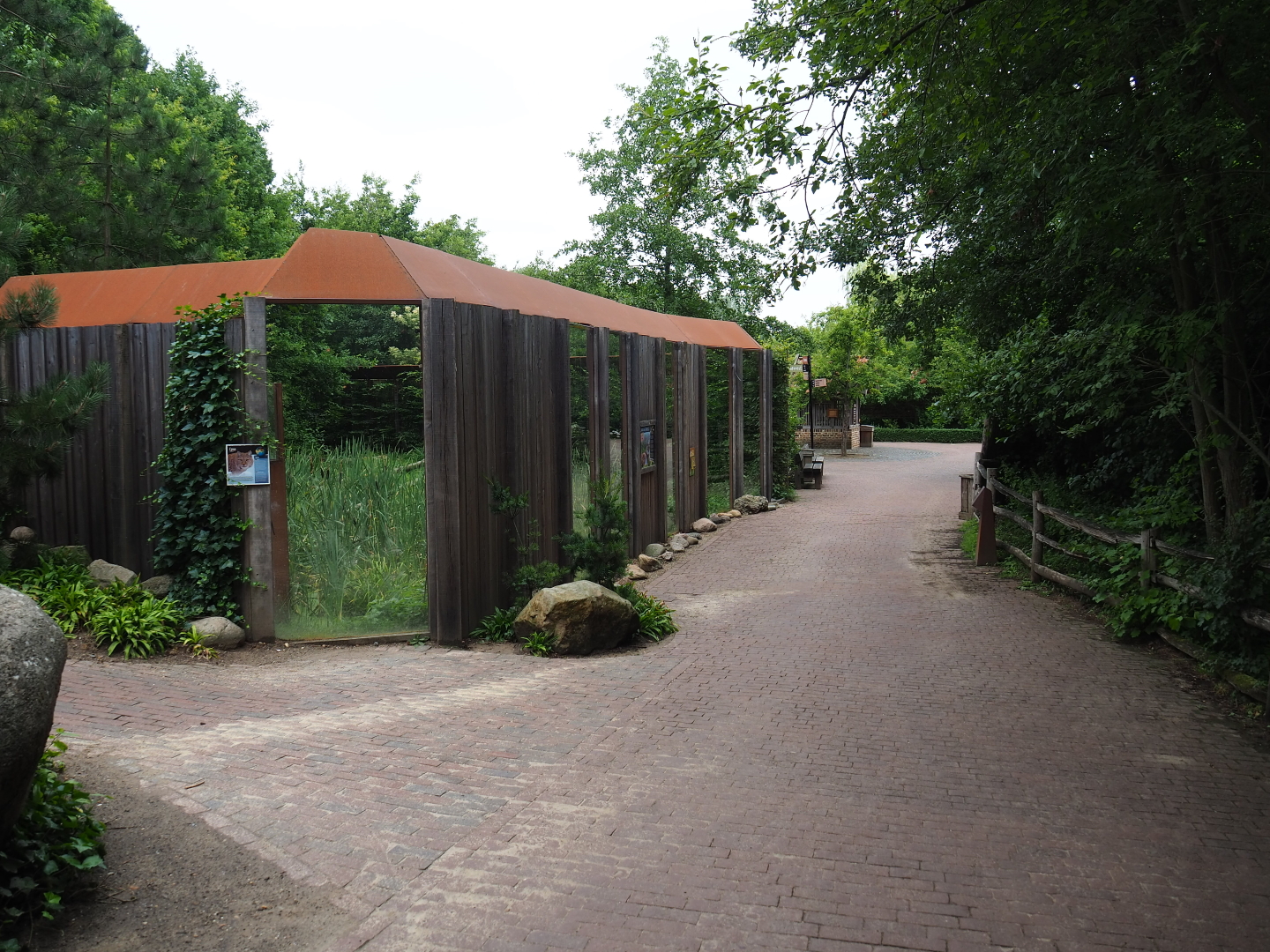 Pathway towards Limburg farmyard with Eurasian lynx viewing windows, 2019-07-21