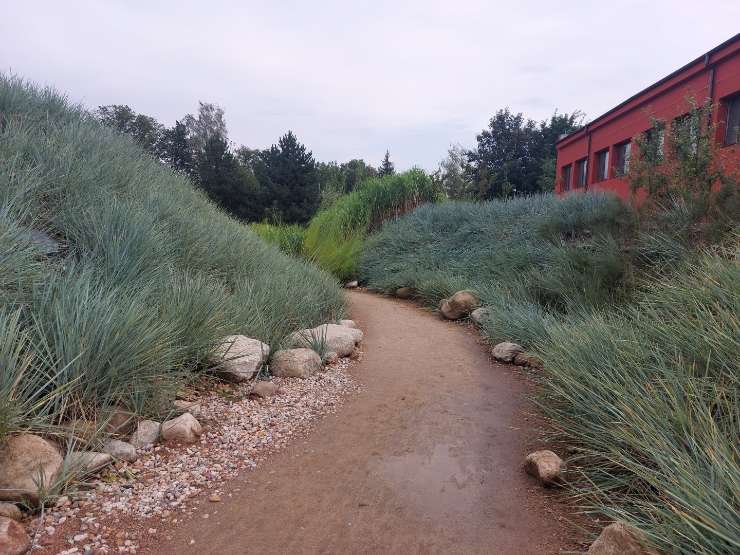 Pathway towards penguins