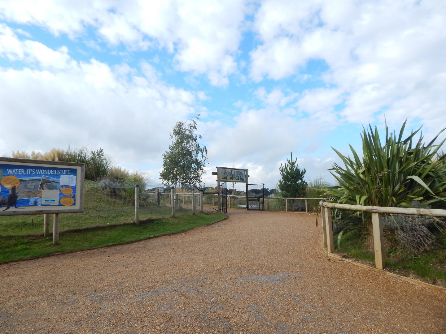 Pathway towards Point Lobos 121024