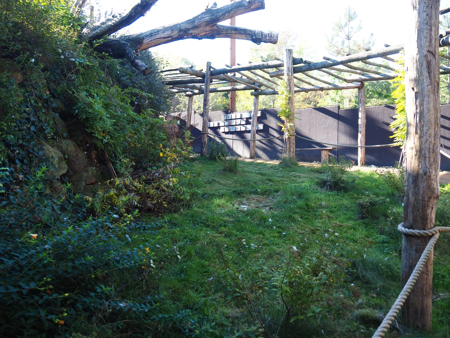 Pathway towards Taiga aviary viewing area (Oct 13th, 2018)