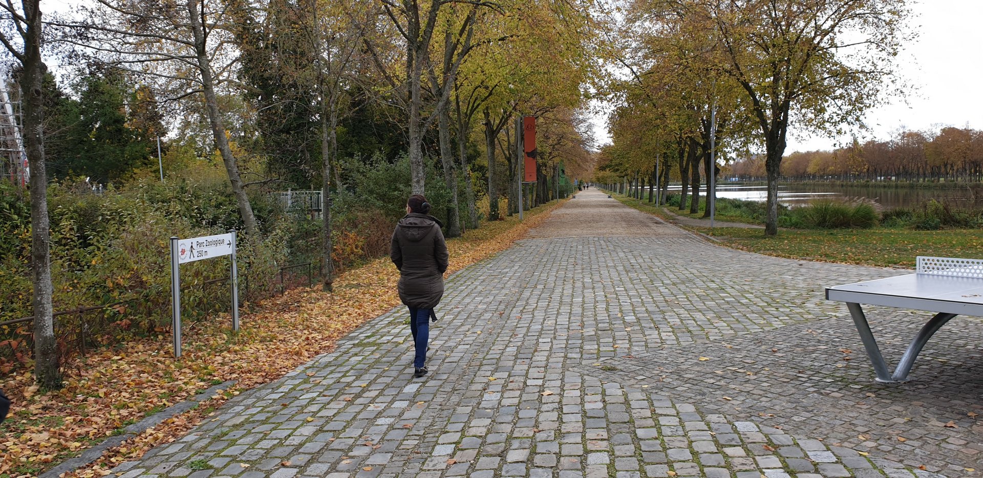 Pathway towards the Zoo