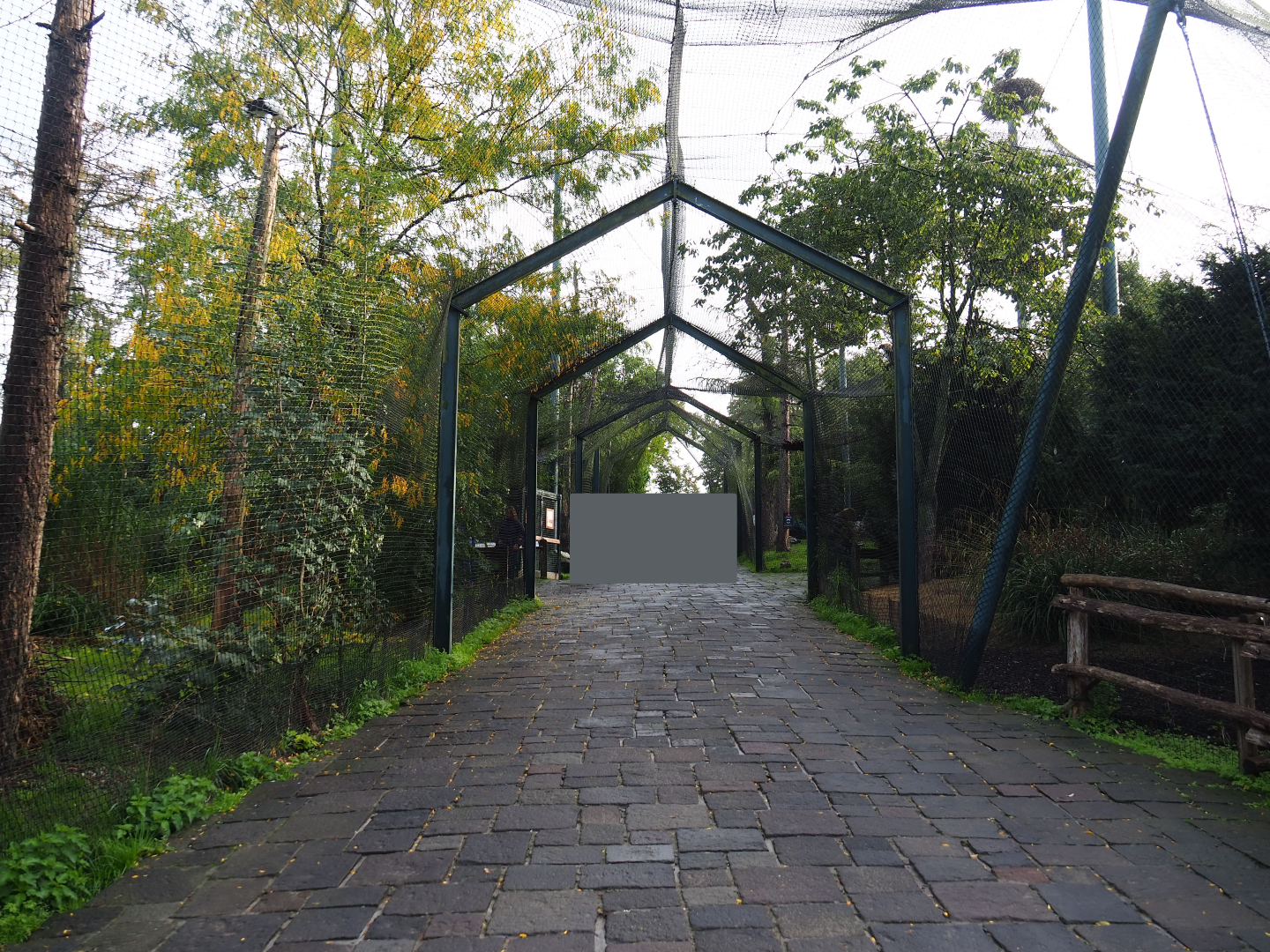 Pathway underneath raptor aviaries, 2019-10-04
