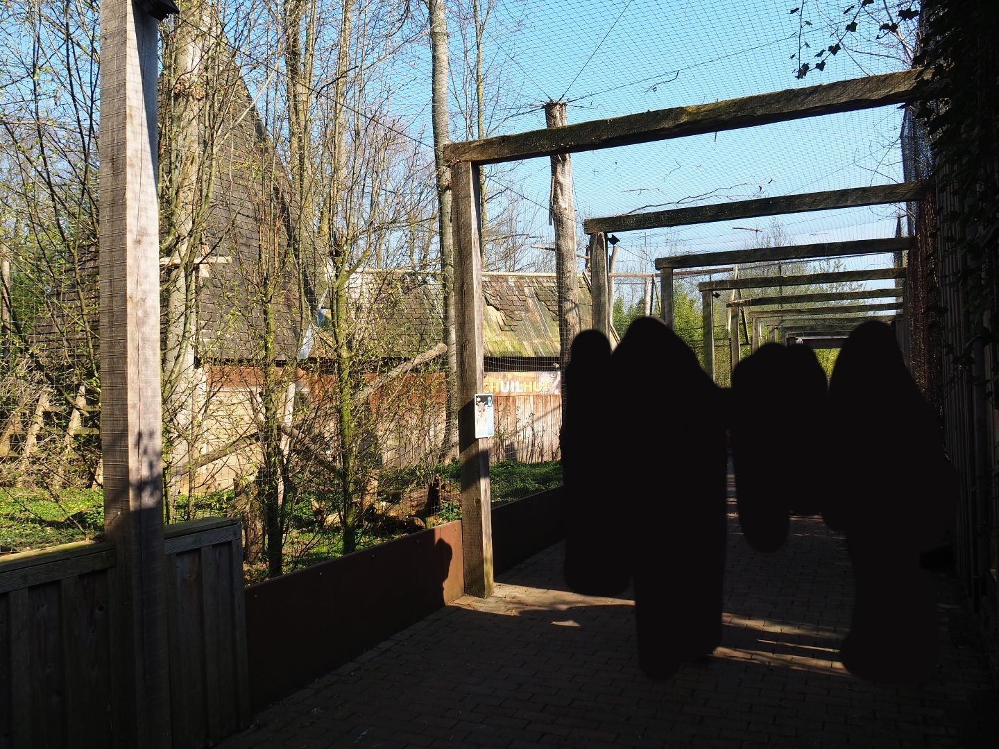 Pathway underneath the Eurasian eagle owl - Raven - Black stork aviary, 2019-03-30