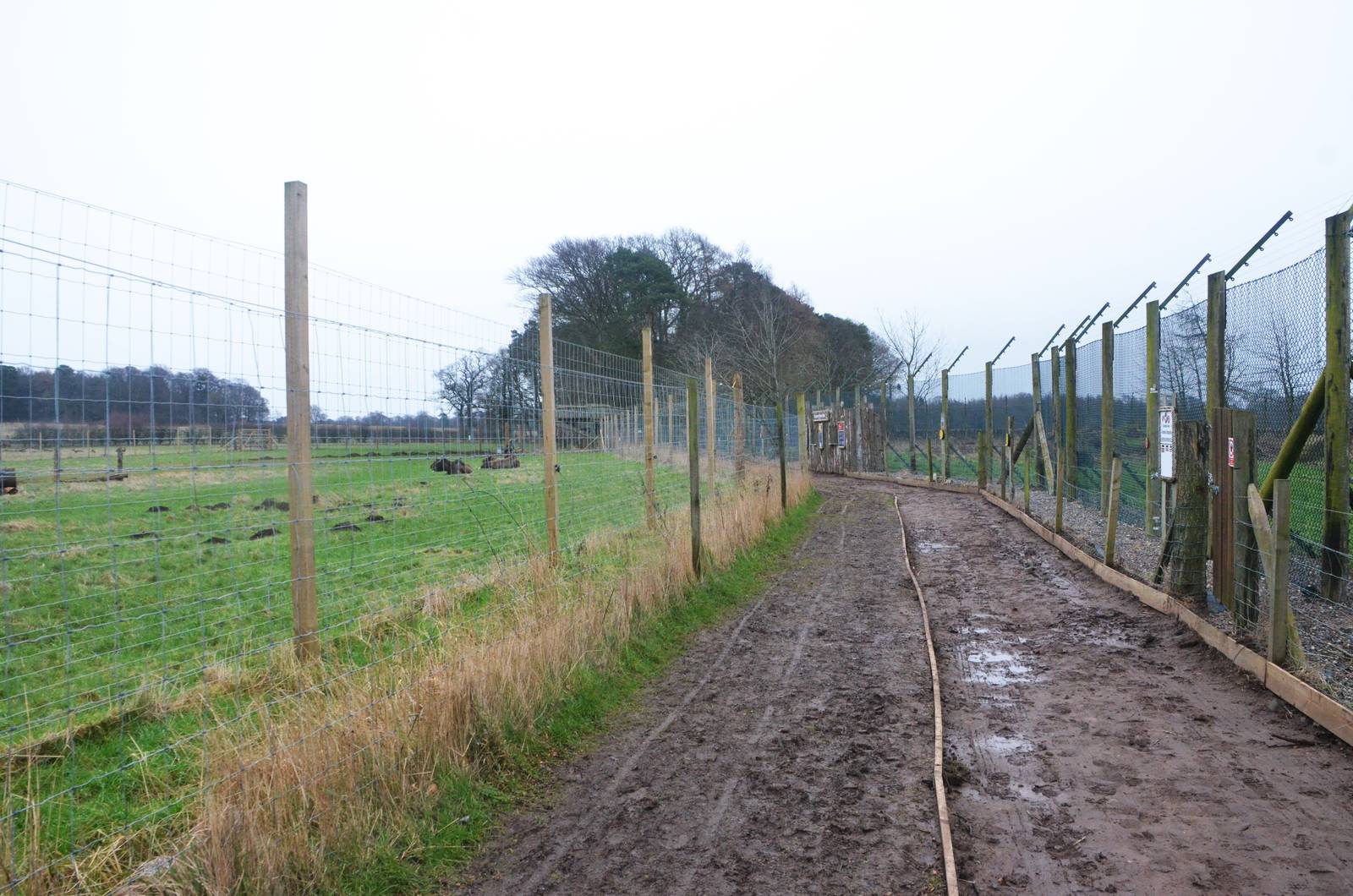 Pathway View at the Scottish Deer Centre, 06/02/16